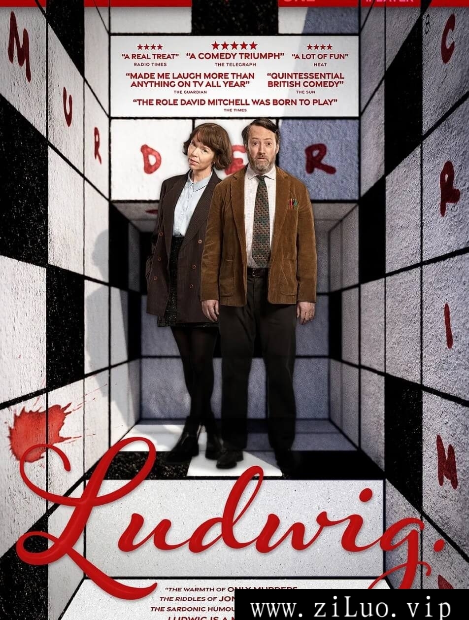 英剧《谜探路德维希/Ludwig》全6集高清视频合集云网盘下载，英语发音中文英文双字幕，已做压缩处理，云网盘下载后解压使用，文件大小7.1GB。